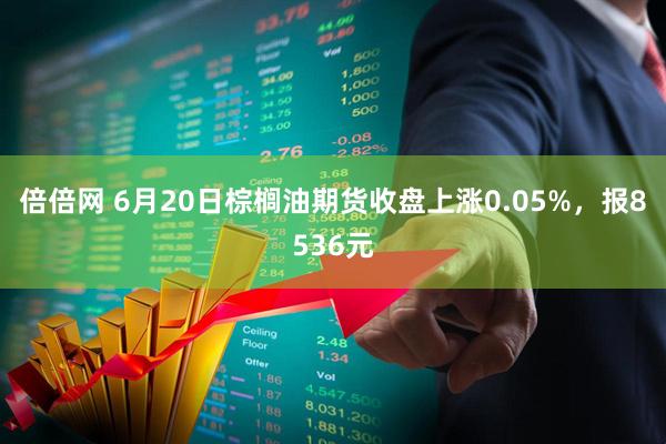 倍倍网 6月20日棕榈油期货收盘上涨0.05%，报8536元